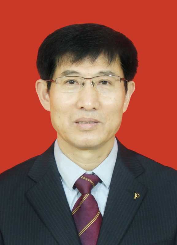 政协第九届济南市市中区委员会主席副主席秘书长工作分工
